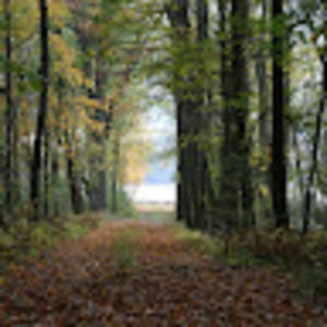 Meet your Posher, Maureen